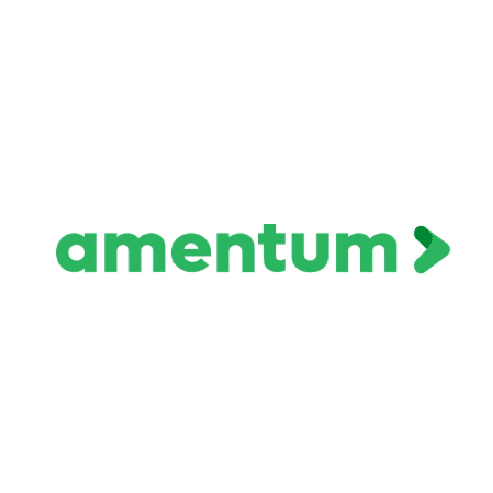 Amentum